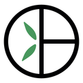 Bamboo basics
